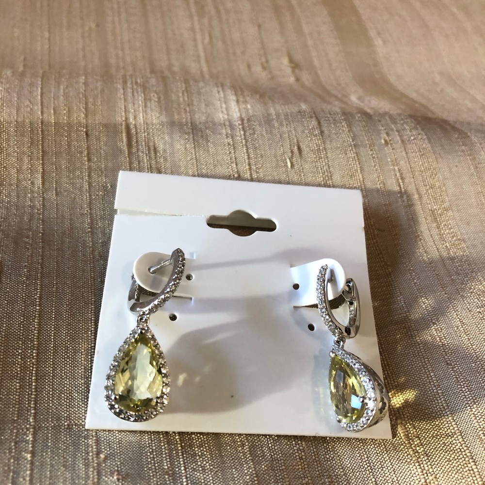 NWT earrings